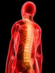 how inflammation harms you