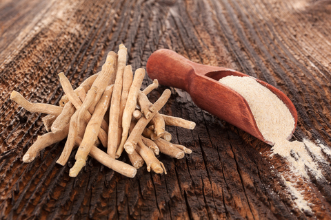 ashwagandha root and powder