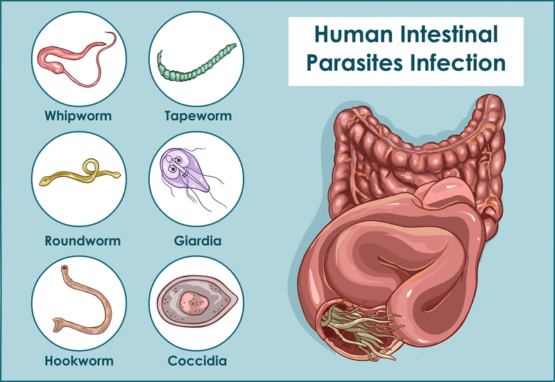 intestinal parasites