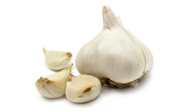 garlic