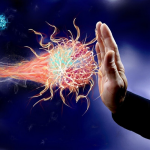 immune system